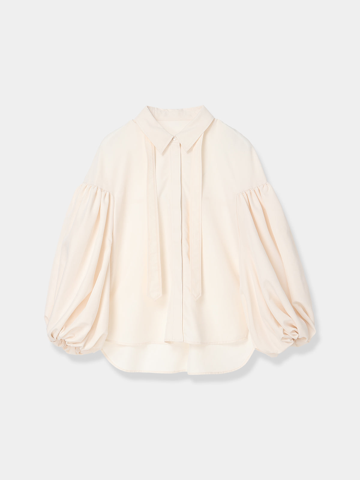Bow Tie Balloon Sleeve Blouse