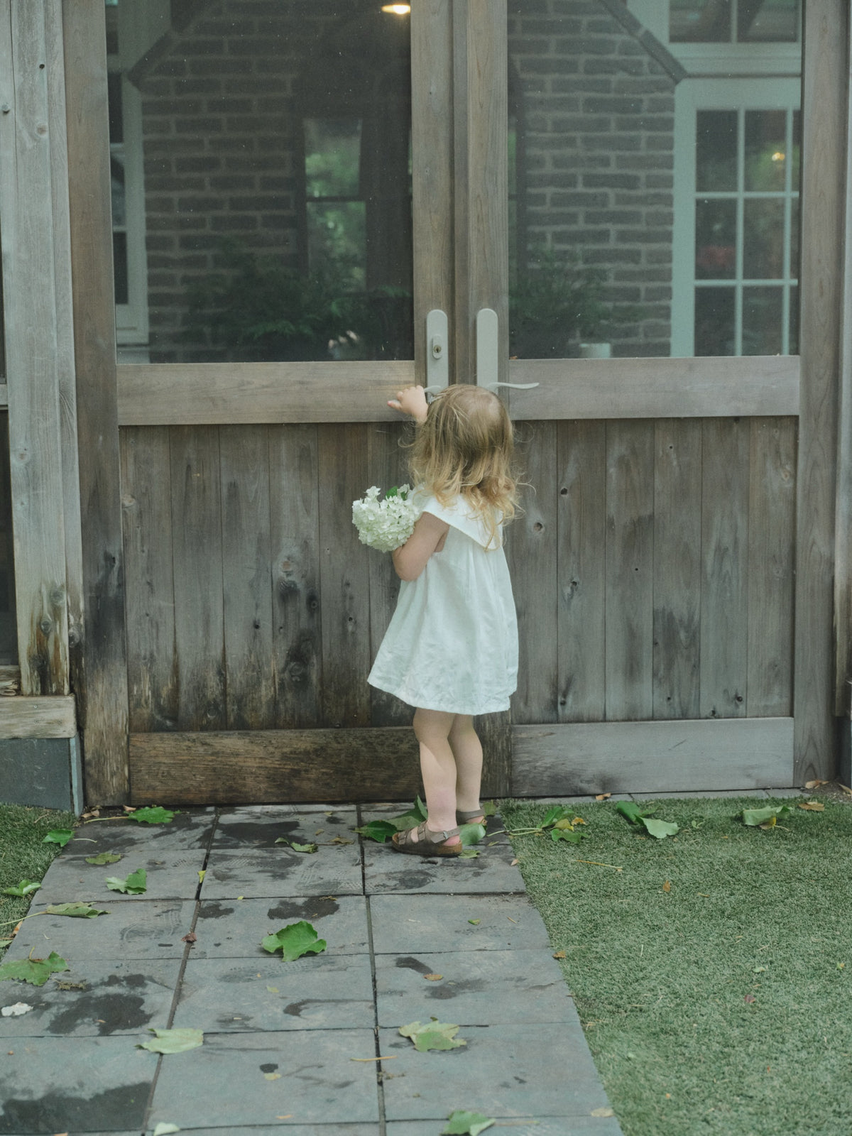 Daisy Garden Dress