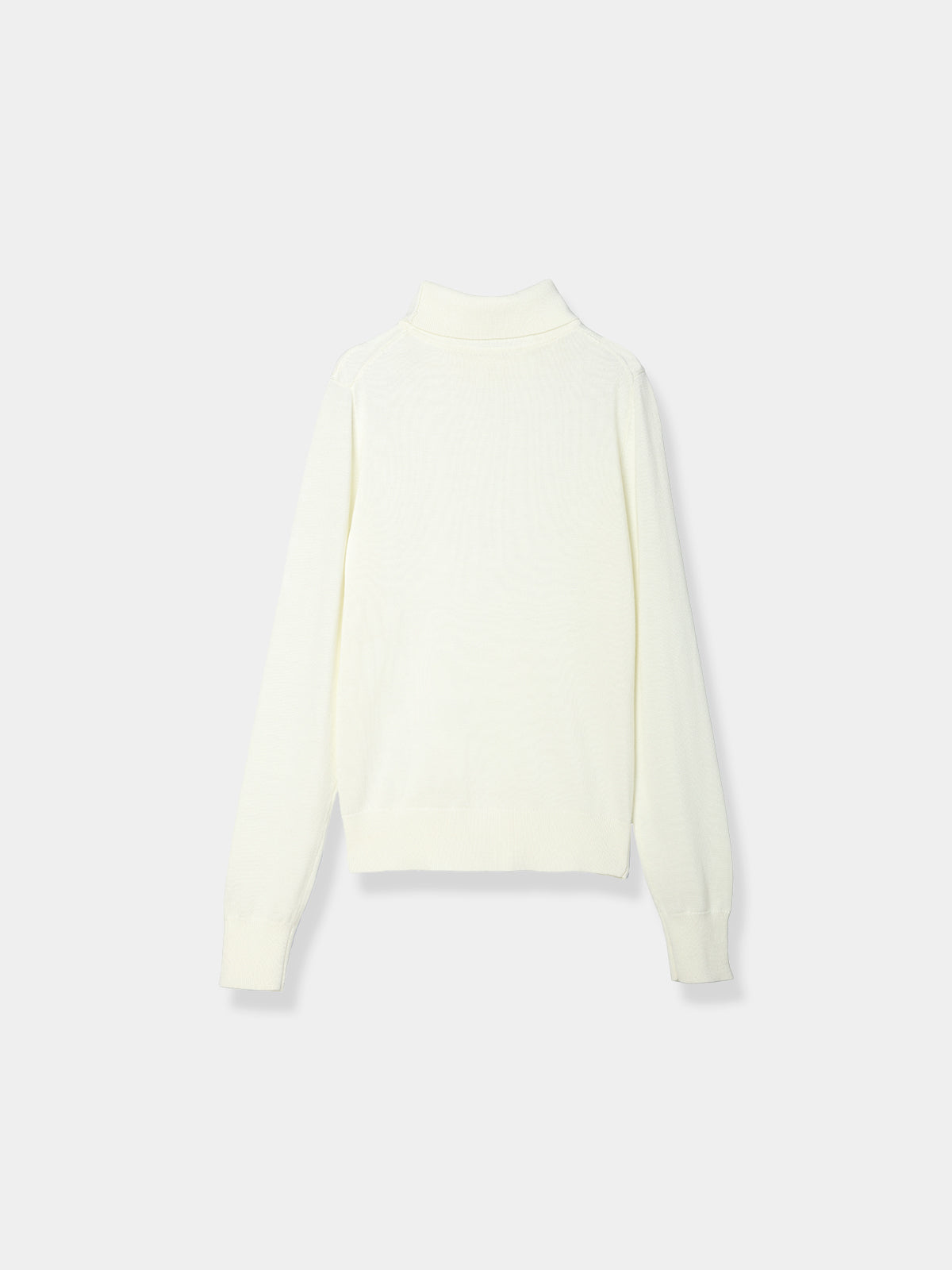 Logo Turtle knit