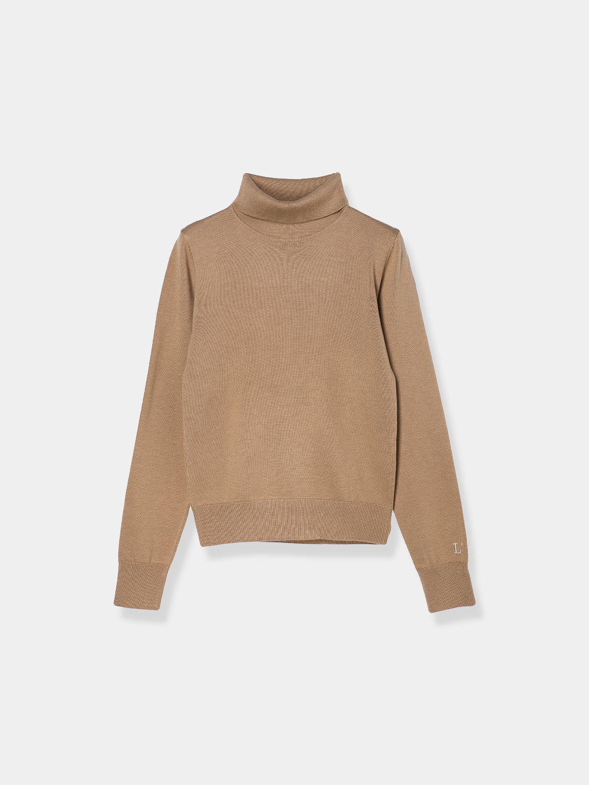 Logo Turtle knit