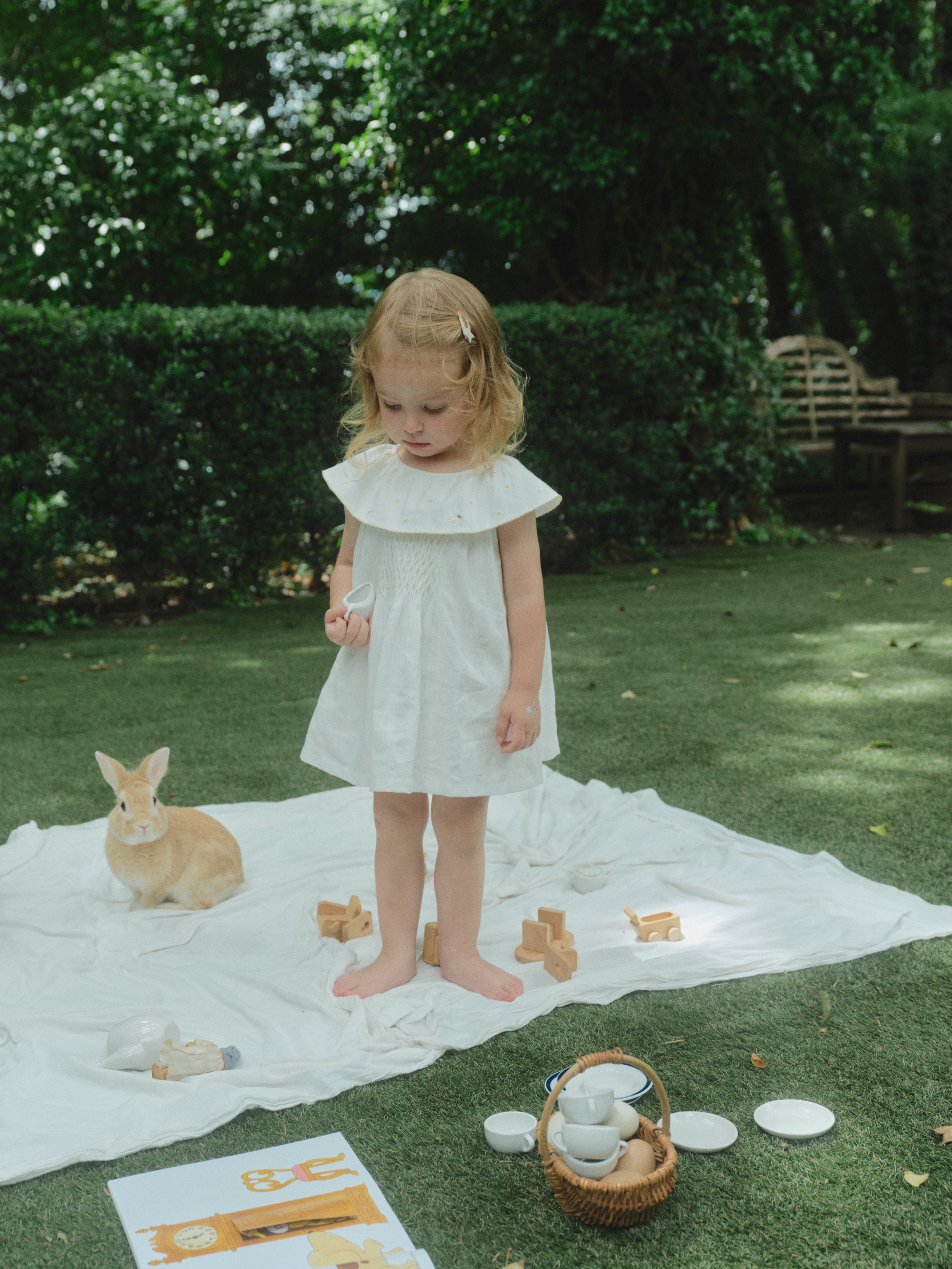 Daisy Garden Dress