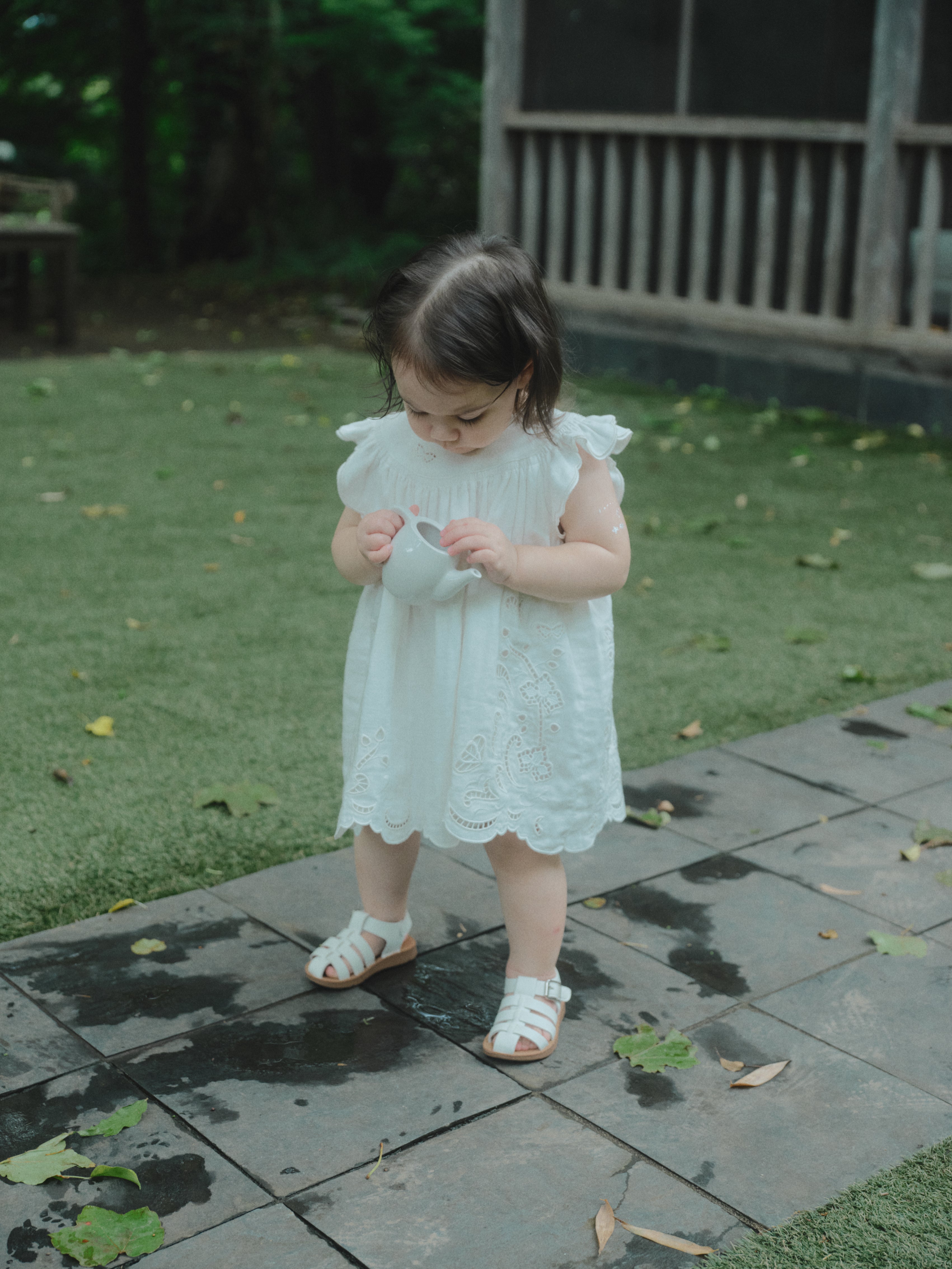 Butterfly Garden Dress