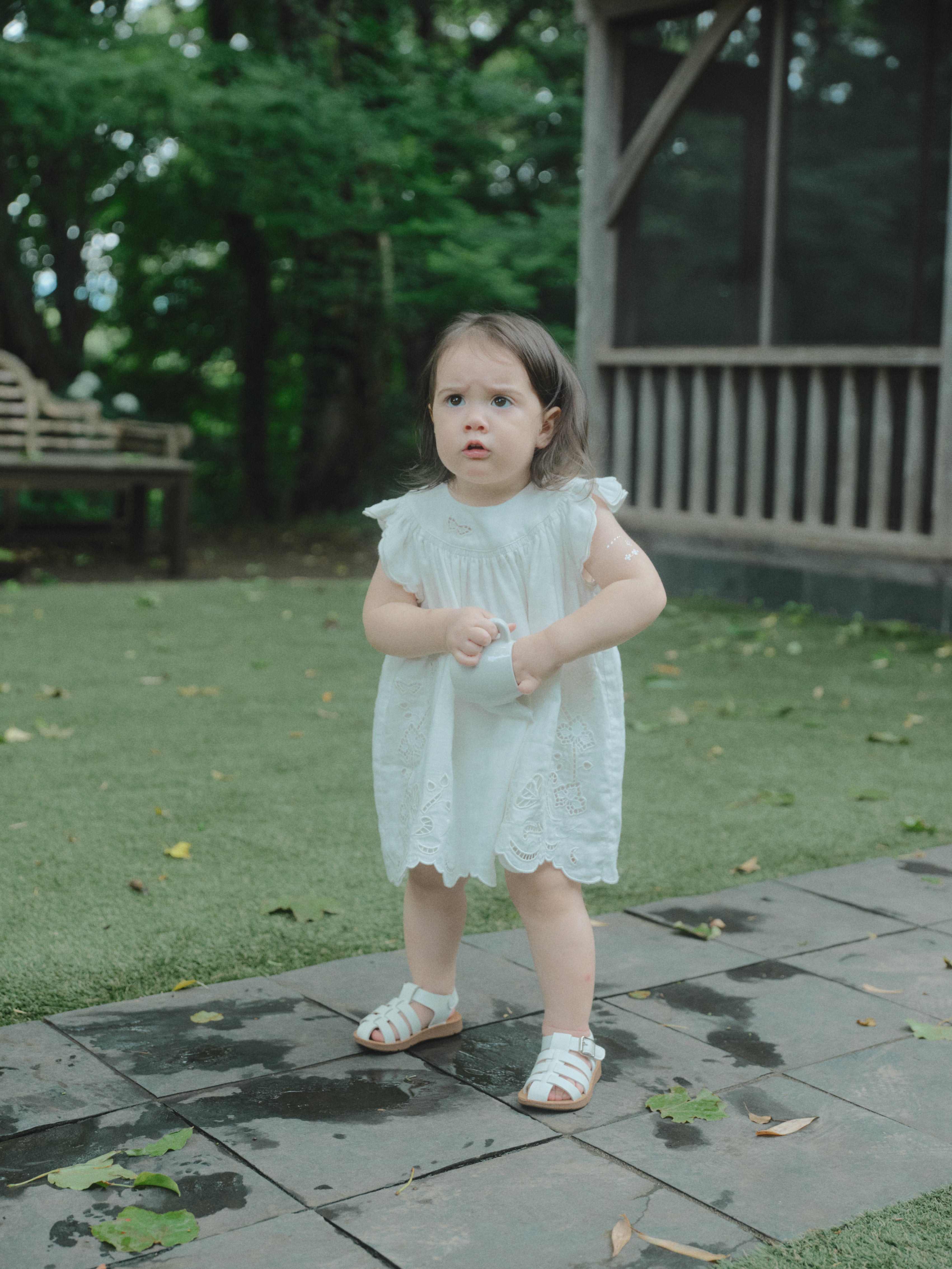 Butterfly Garden Dress
