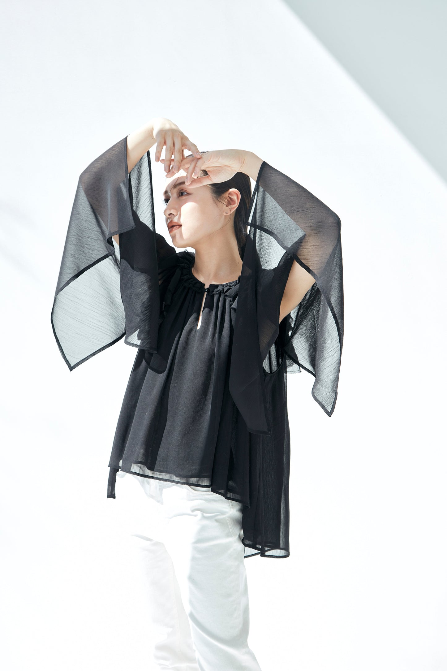 Ruffle chiffon Blouse