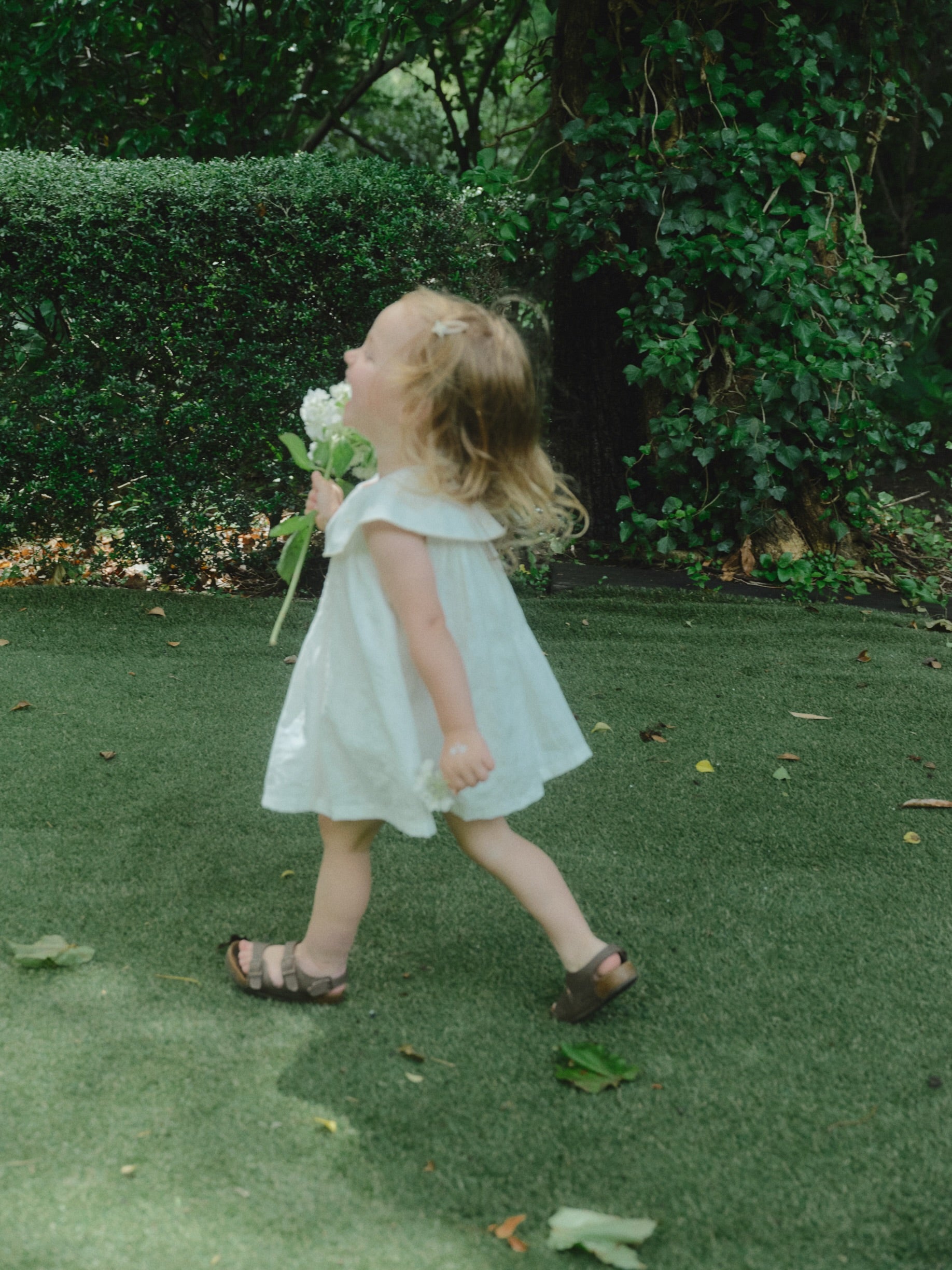 Daisy Garden Dress
