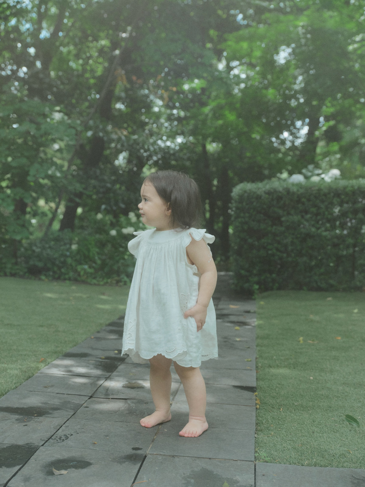 Butterfly Garden Dress