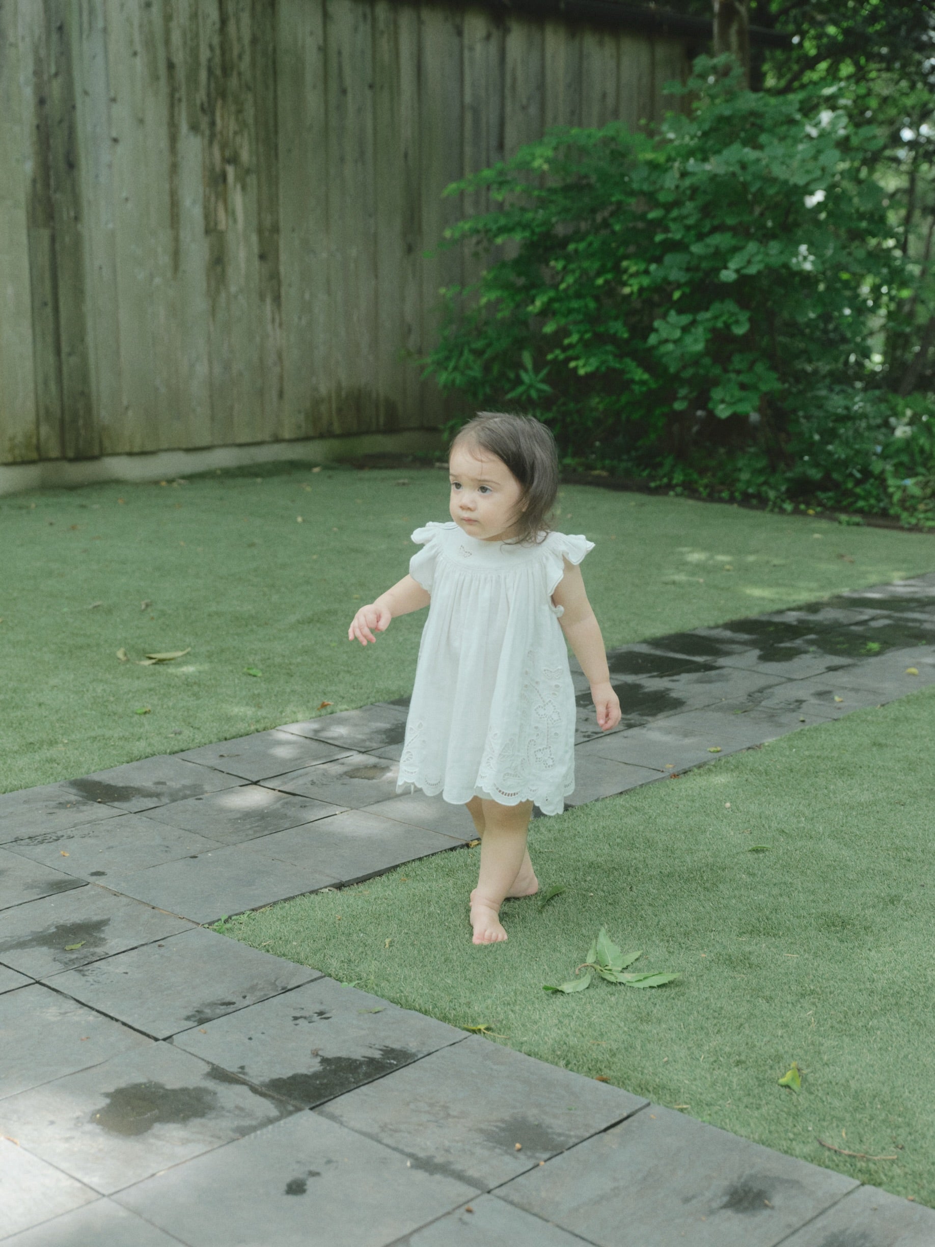 Butterfly Garden Dress