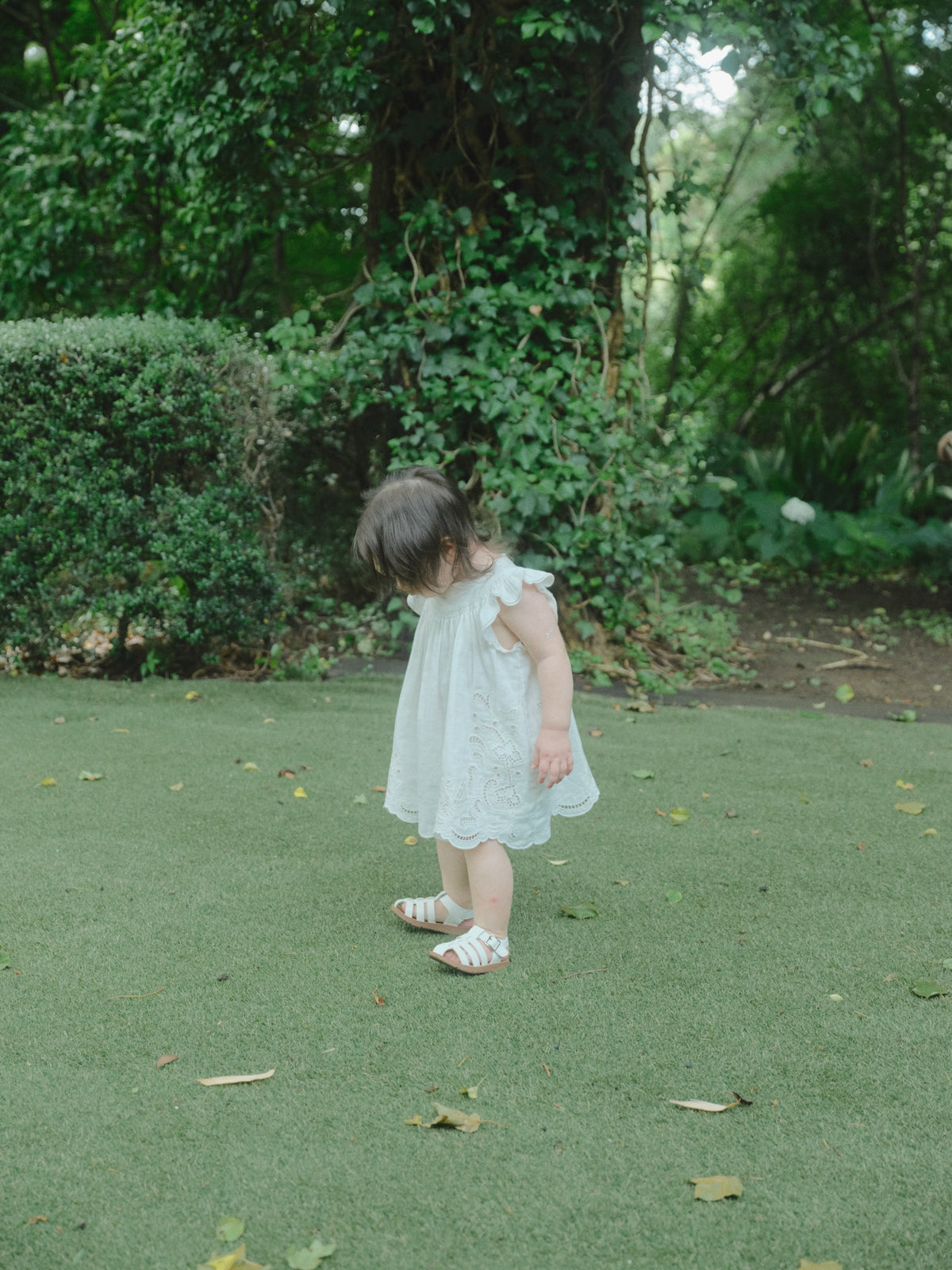 Butterfly Garden Dress