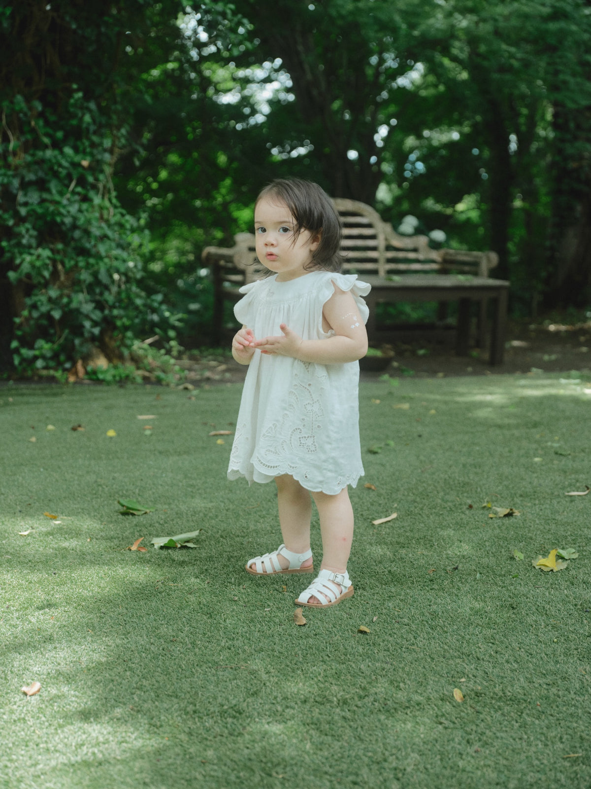Butterfly Garden Dress