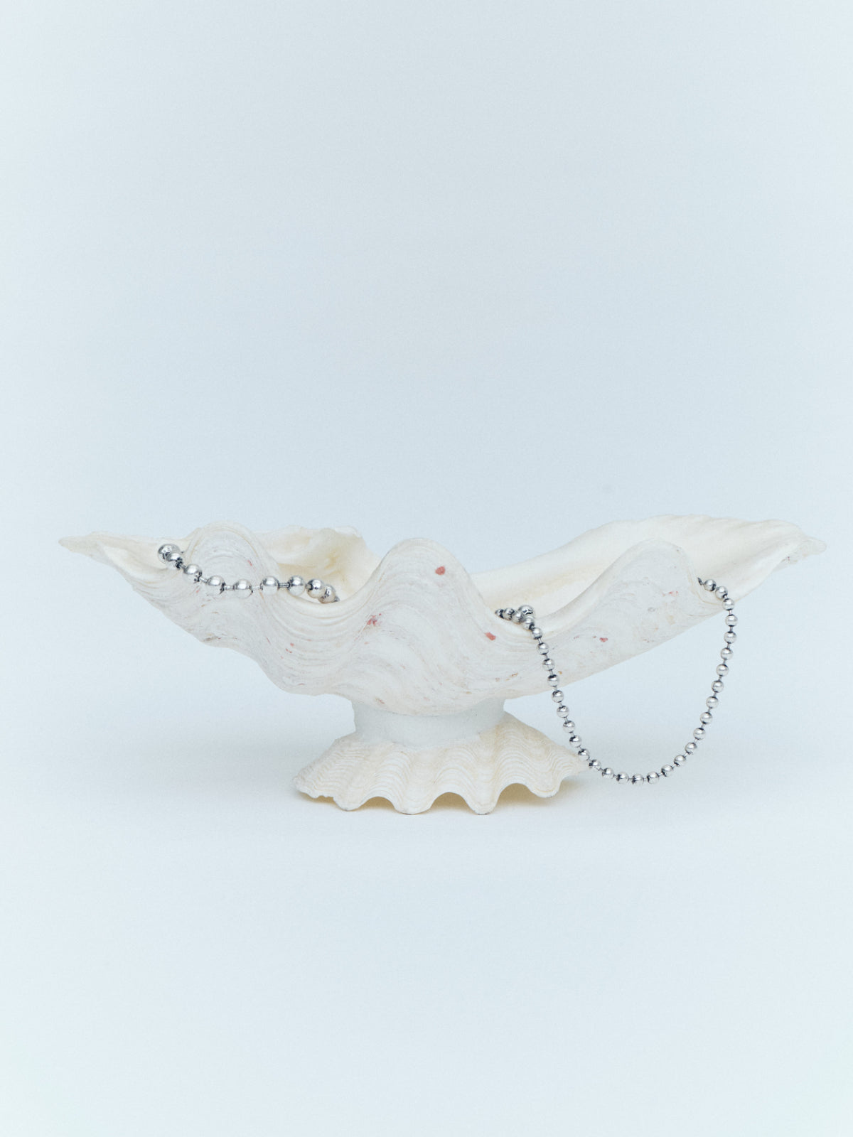 2024 S/S COLLECTION POPUP STORE Noveltyのお知らせ
