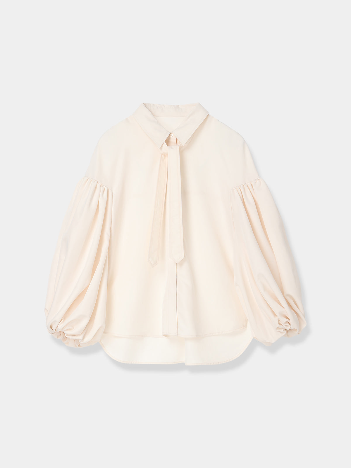 Bow Tie Balloon Sleeve Blouse