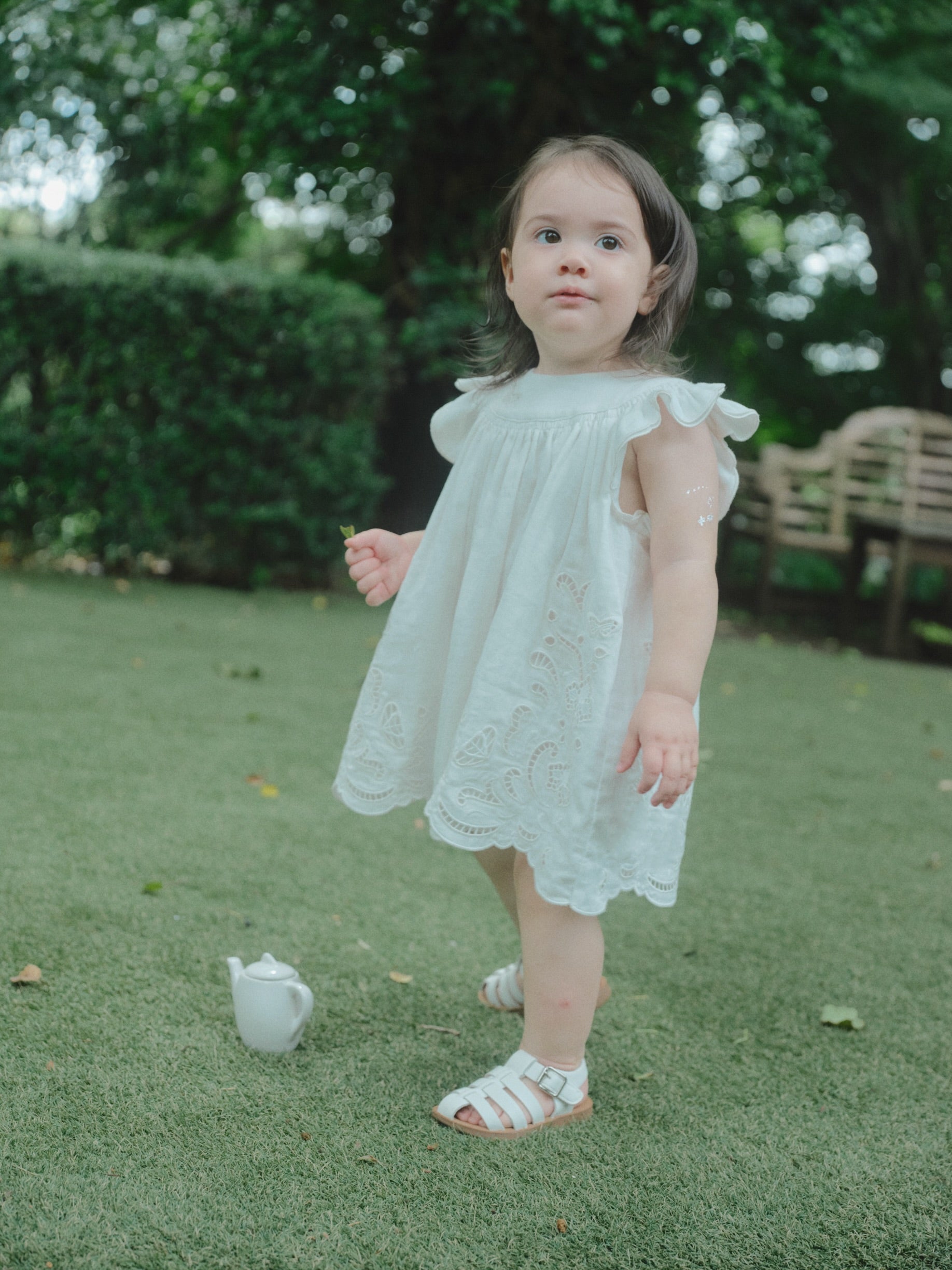 Butterfly Garden Dress