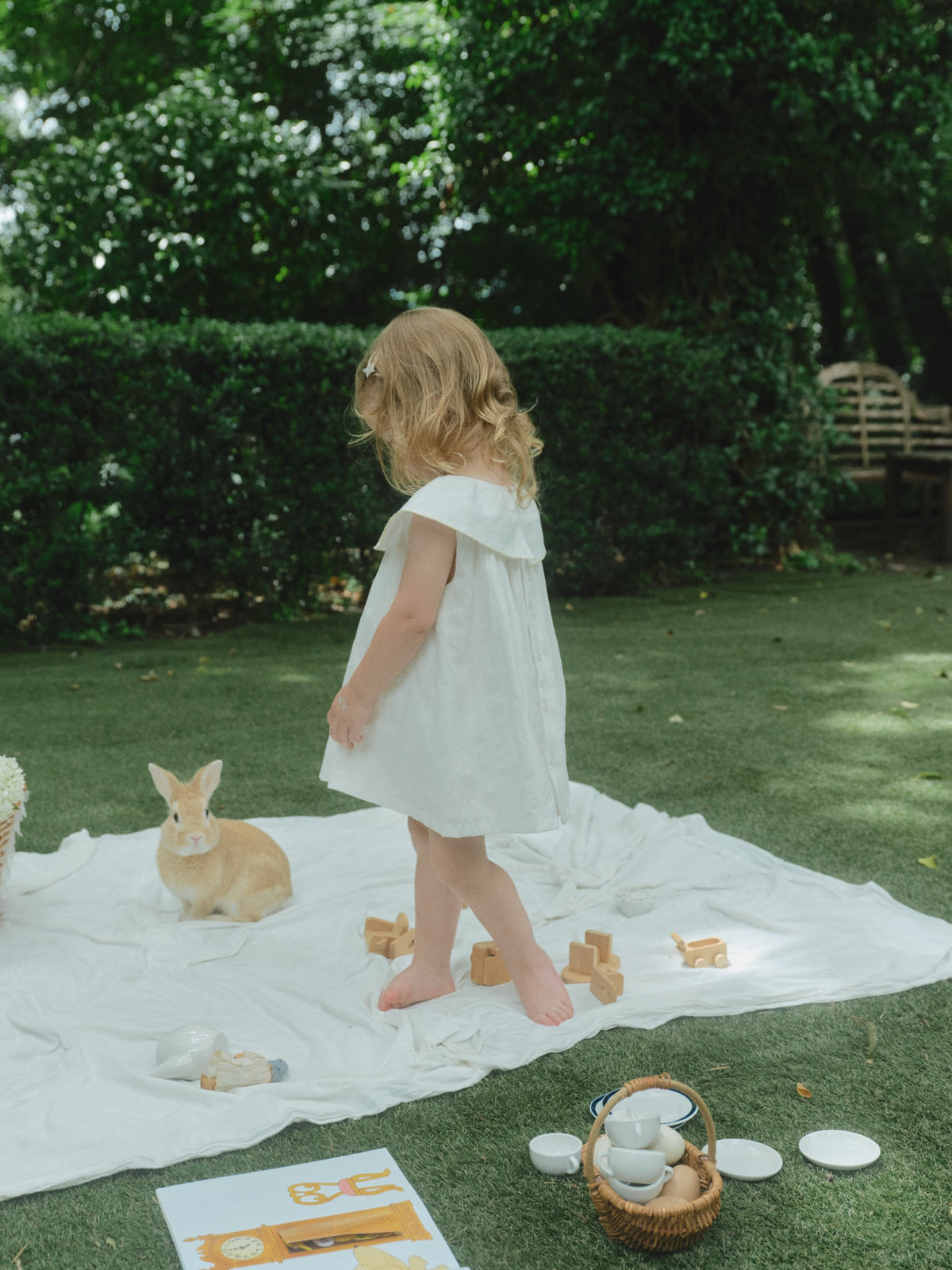 Daisy Garden Dress