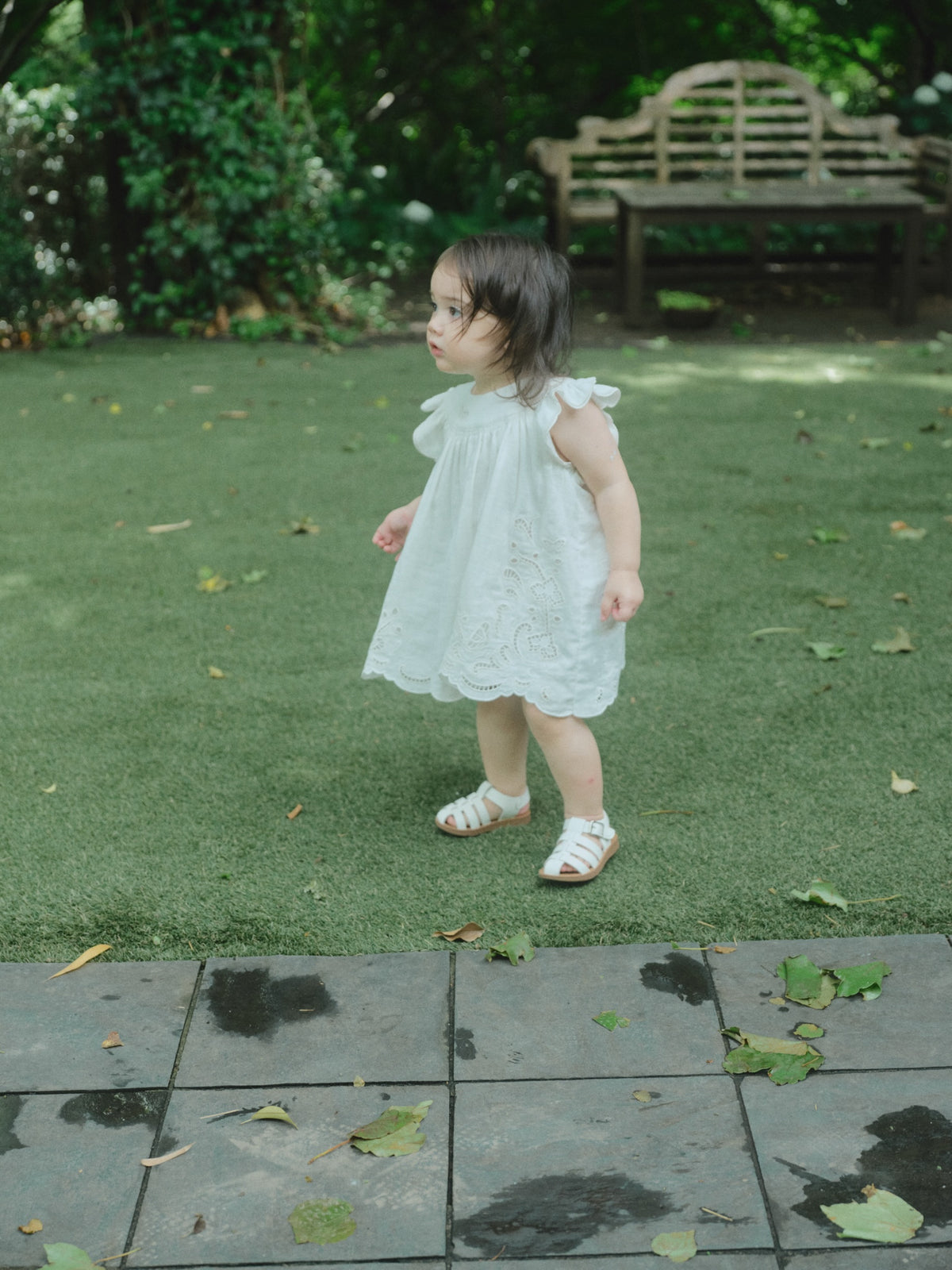 Butterfly Garden Dress