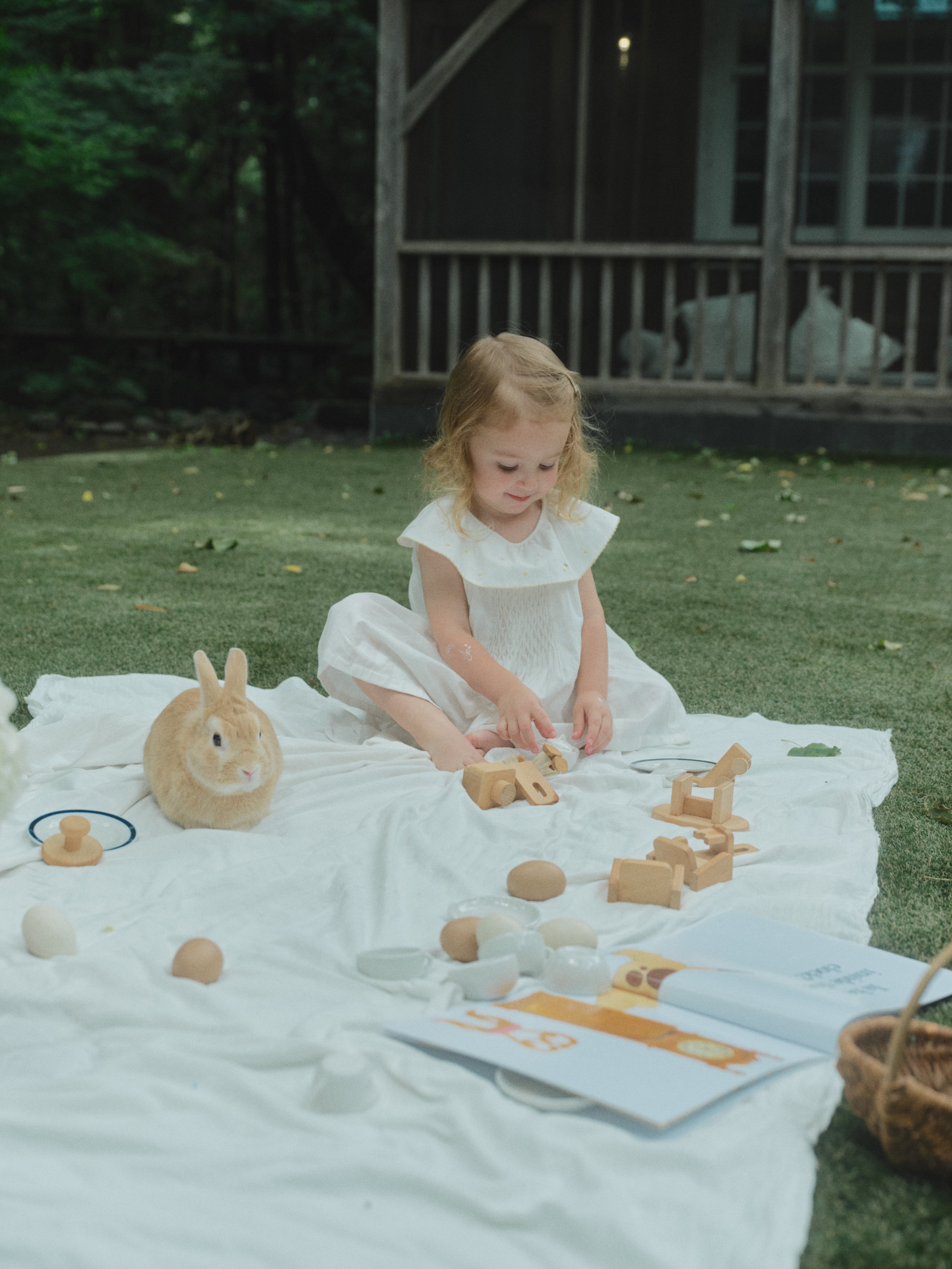 Daisy Garden Dress