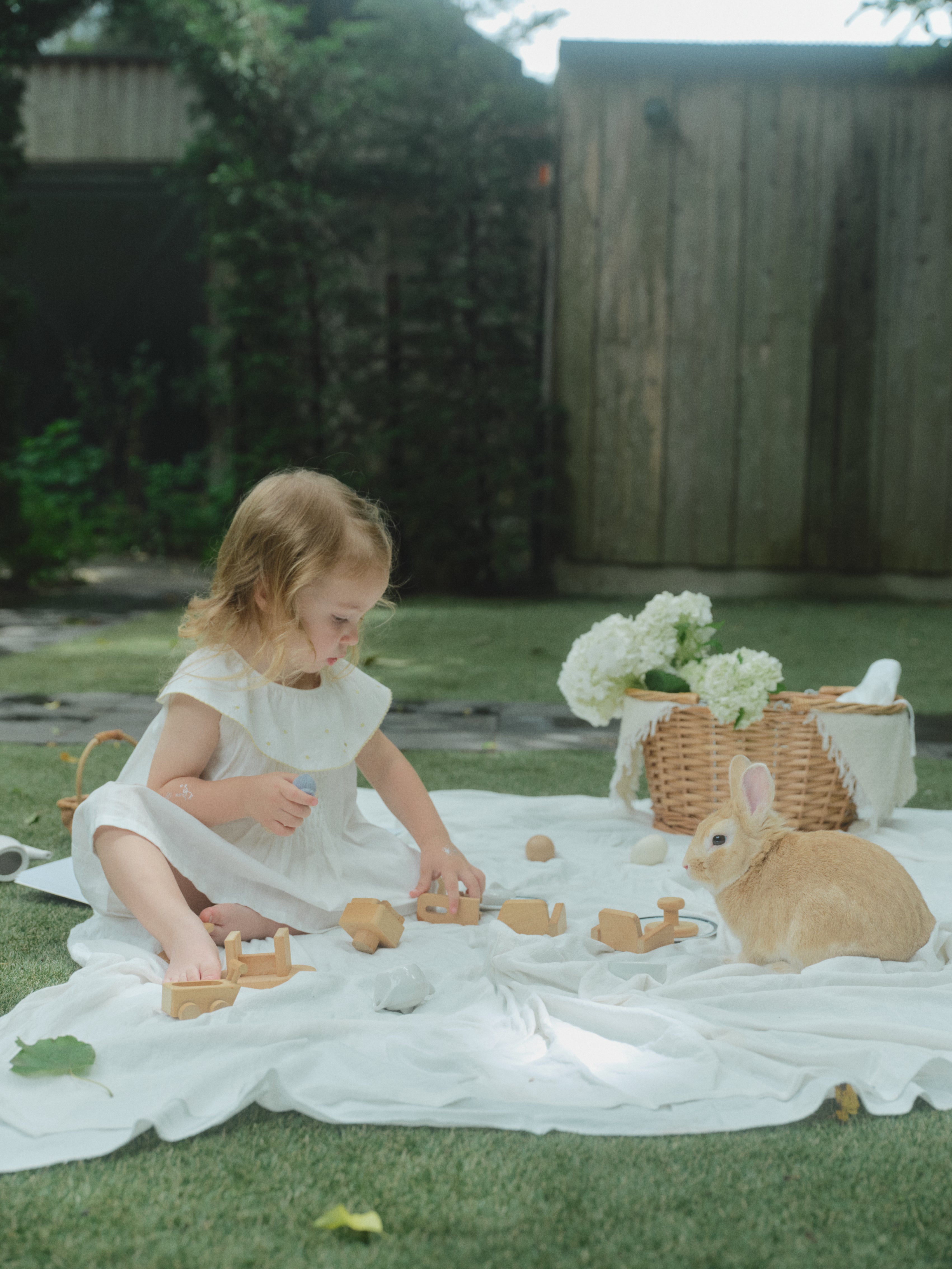 Daisy Garden Dress