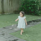 Butterfly Garden Dress