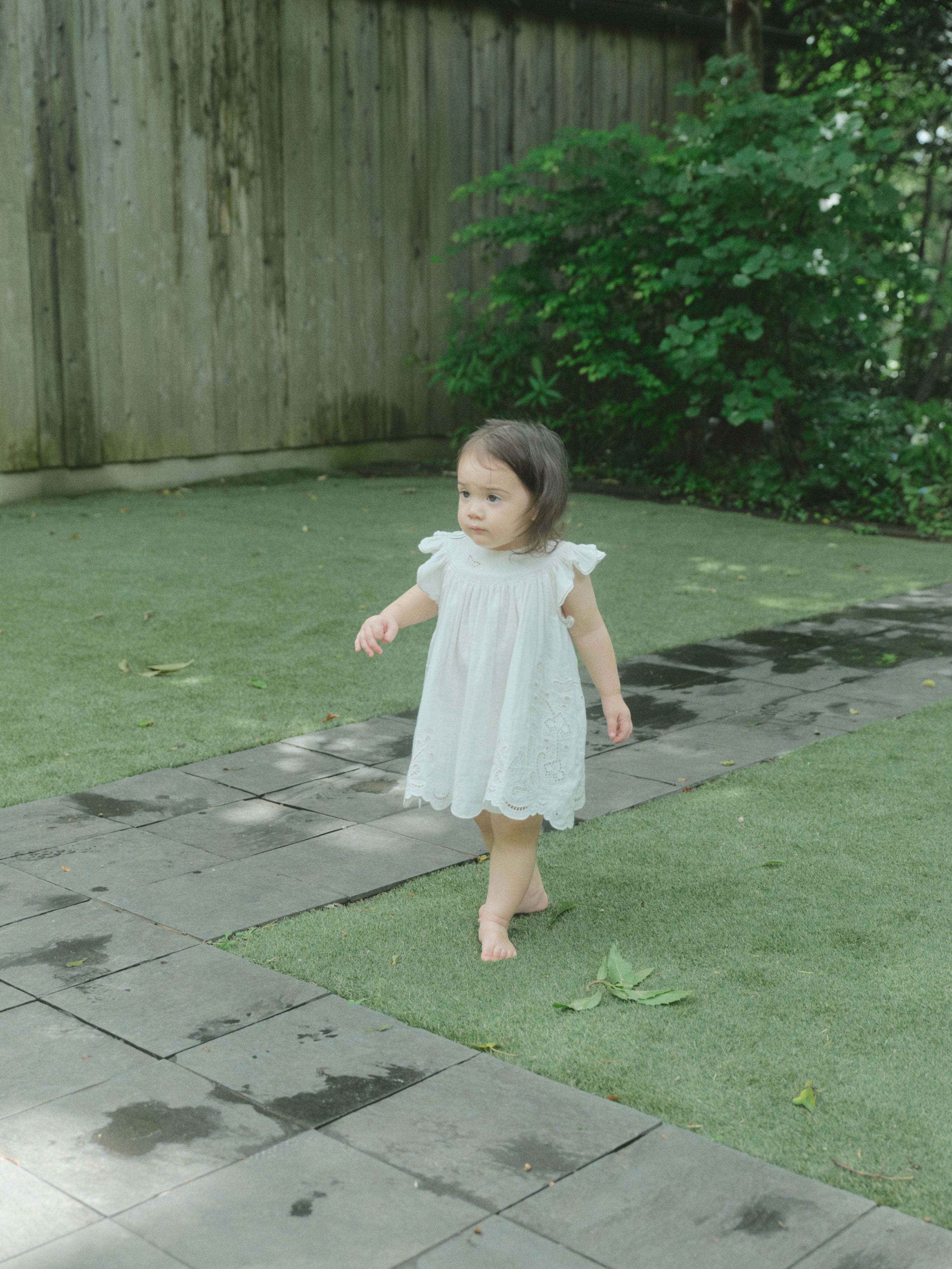 Butterfly Garden Dress