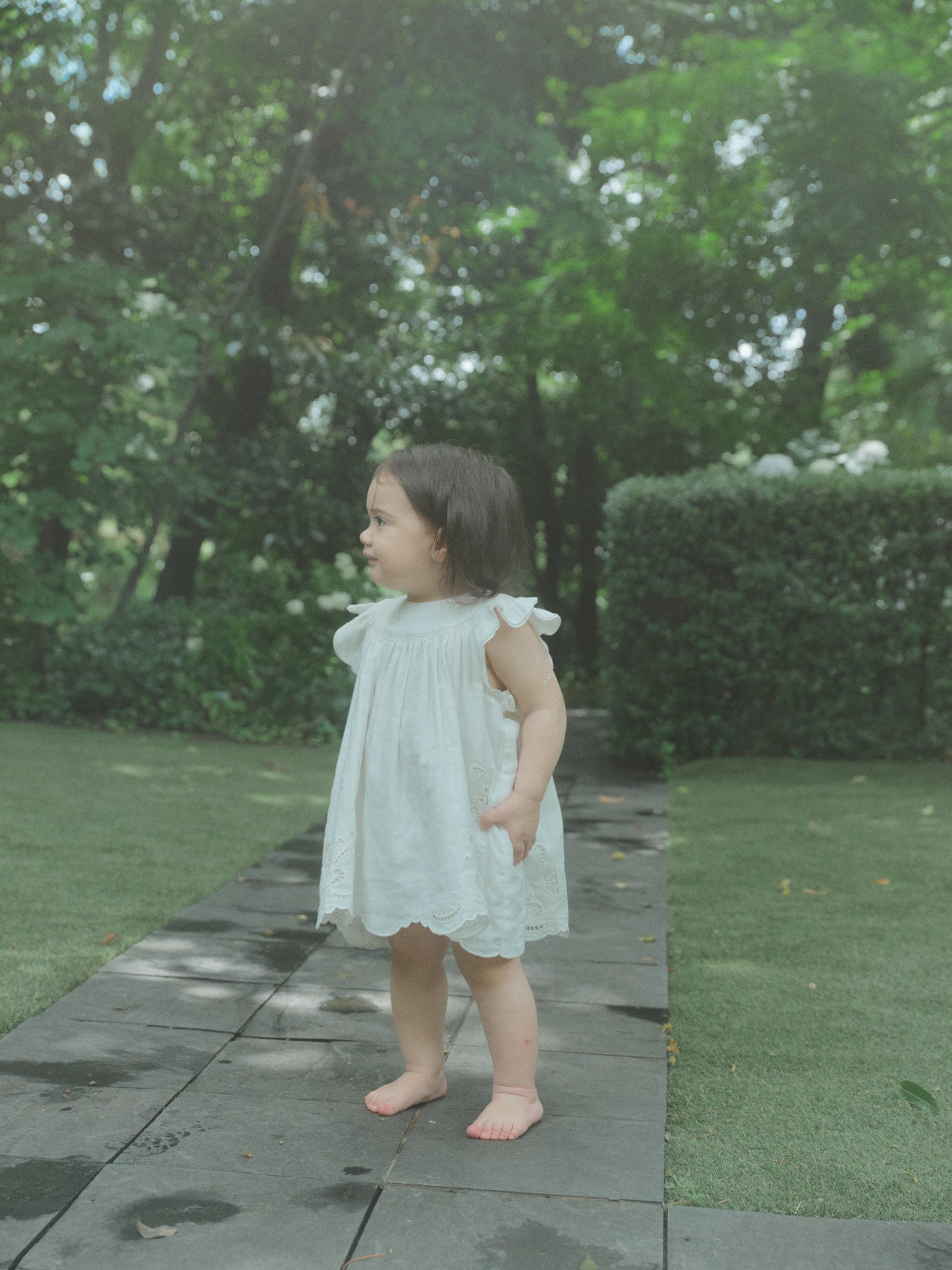 Butterfly Garden Dress