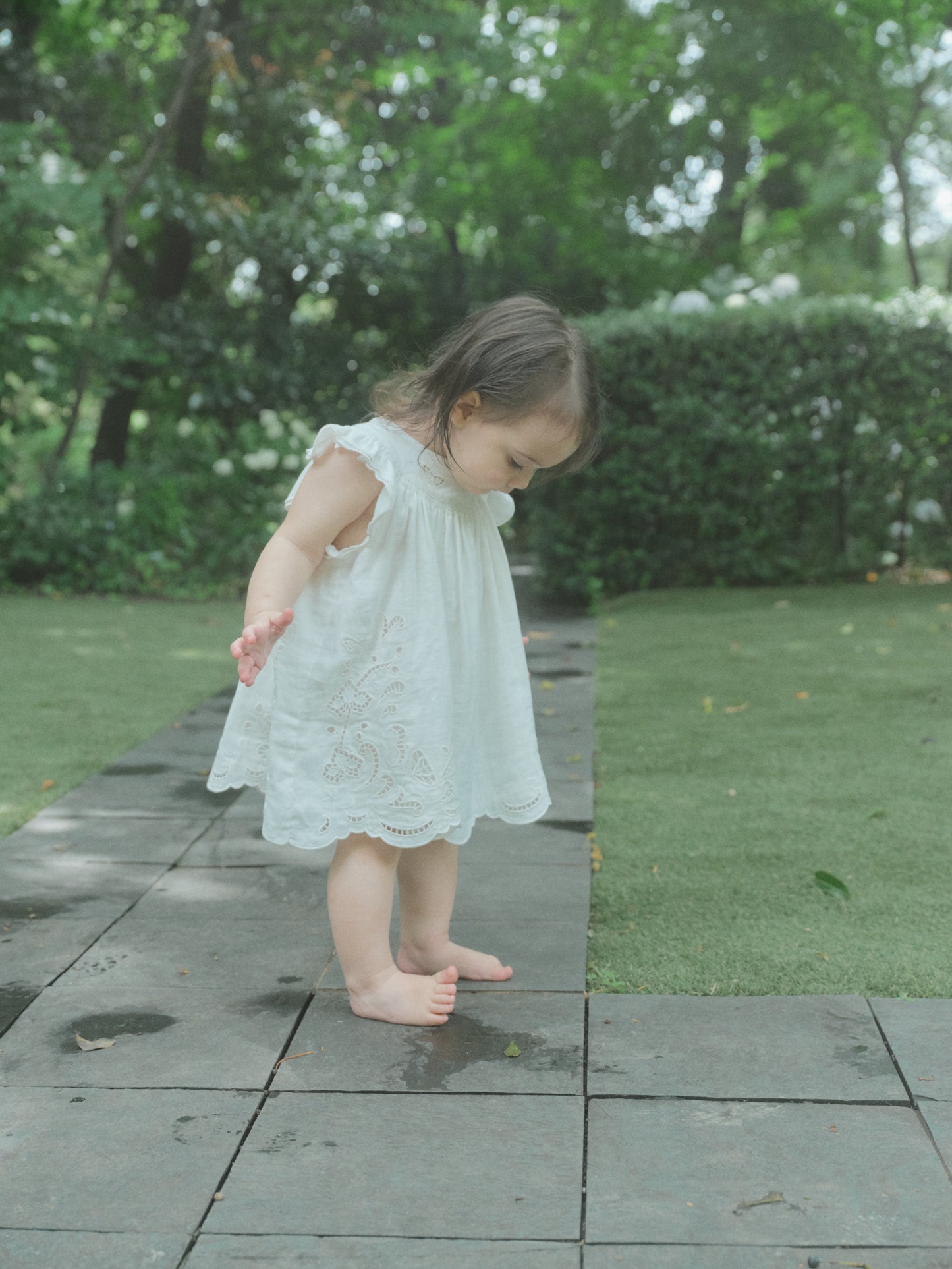 Butterfly Garden Dress