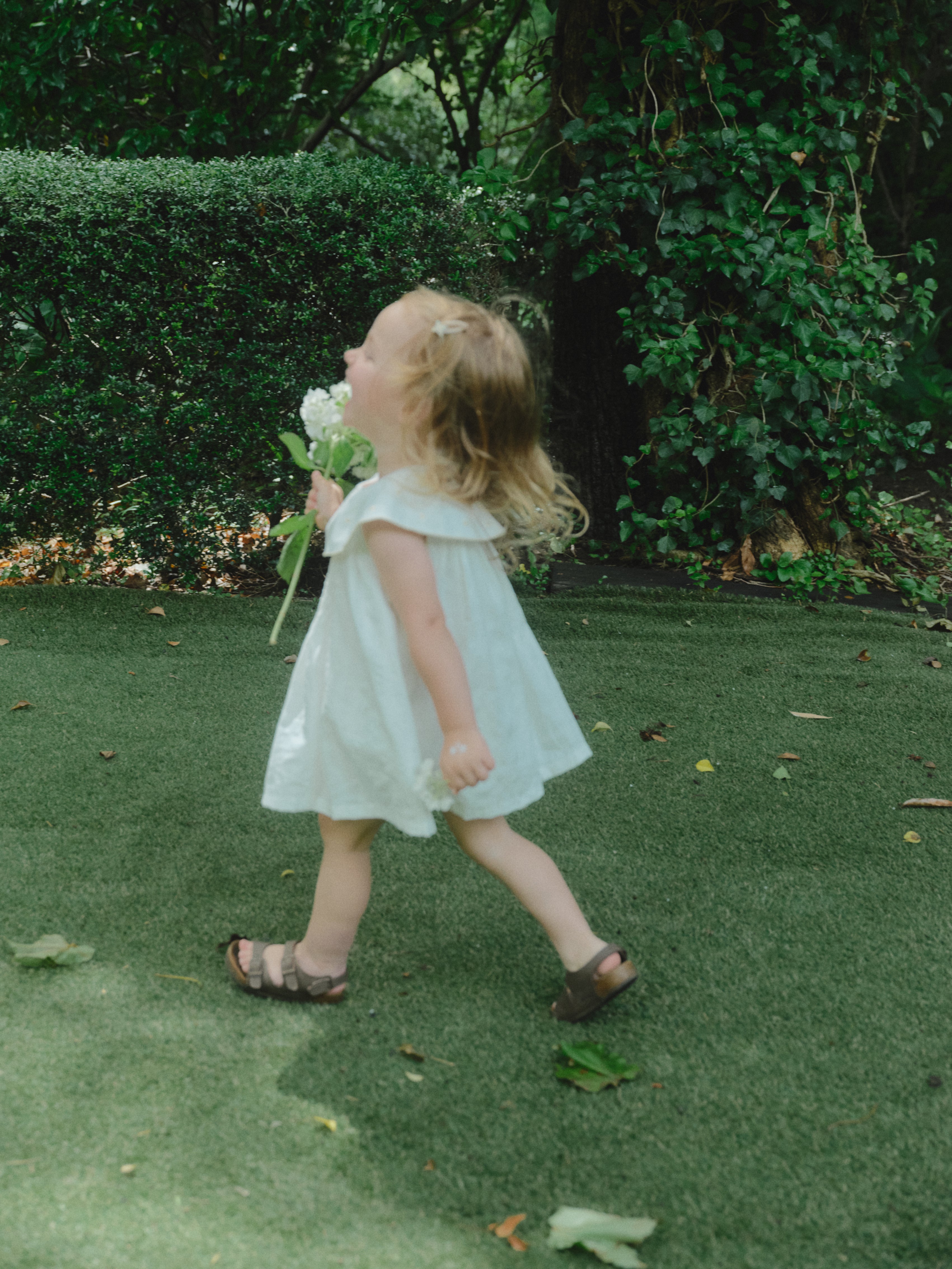 Daisy Garden Dress