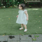 Butterfly Garden Dress