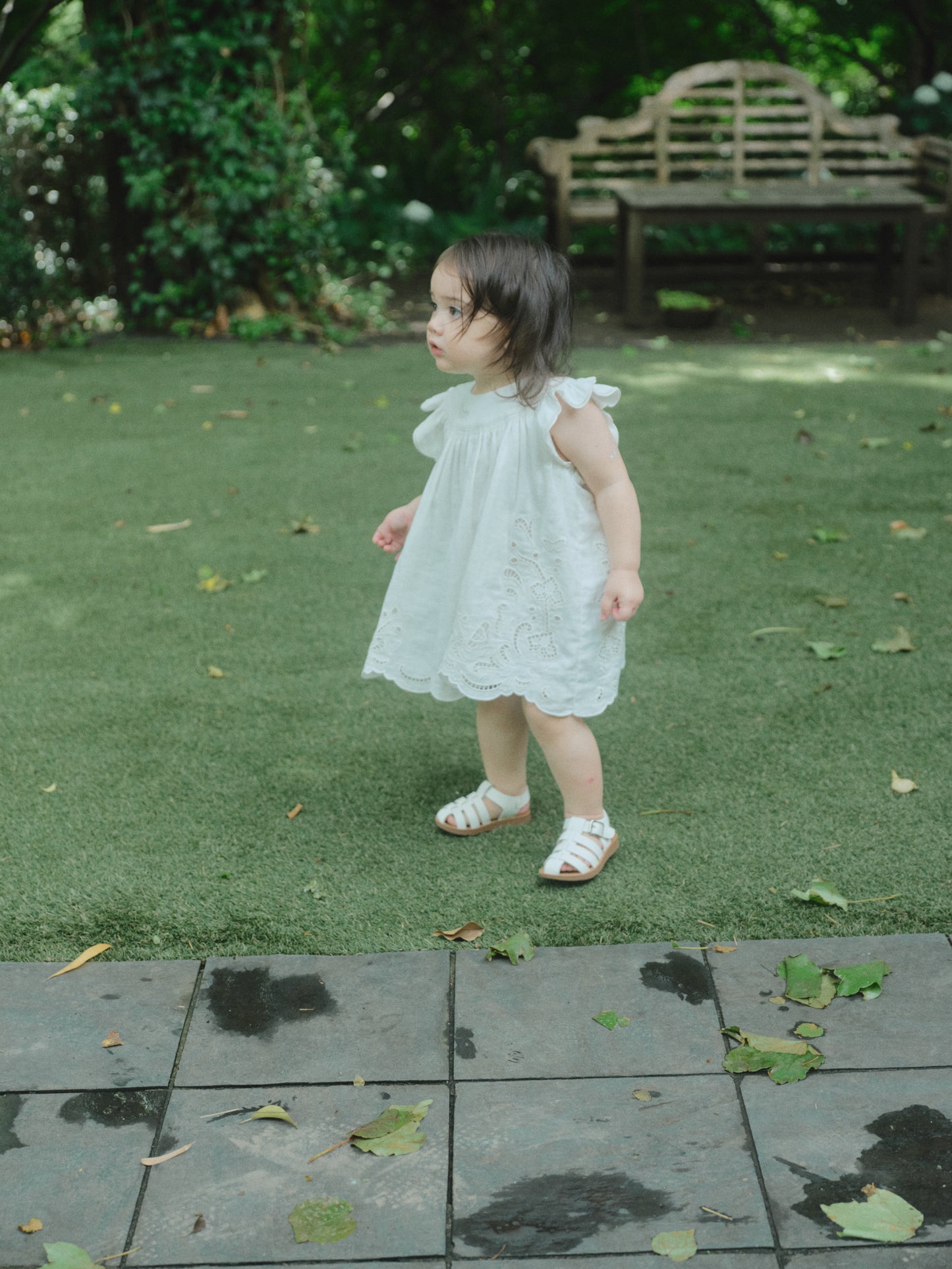 Butterfly Garden Dress