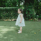 Butterfly Garden Dress