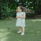 Butterfly Garden Dress