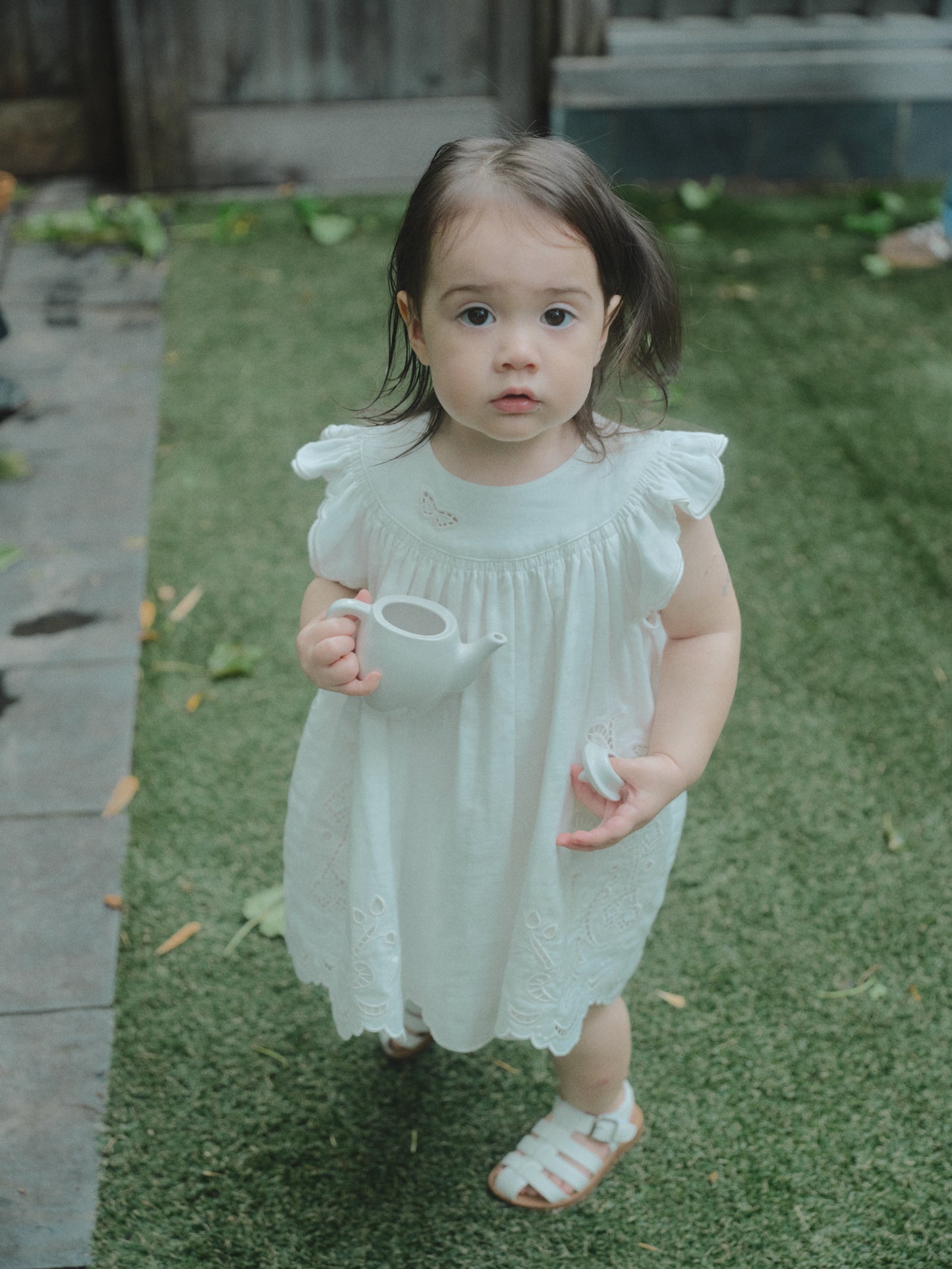 Butterfly Garden Dress