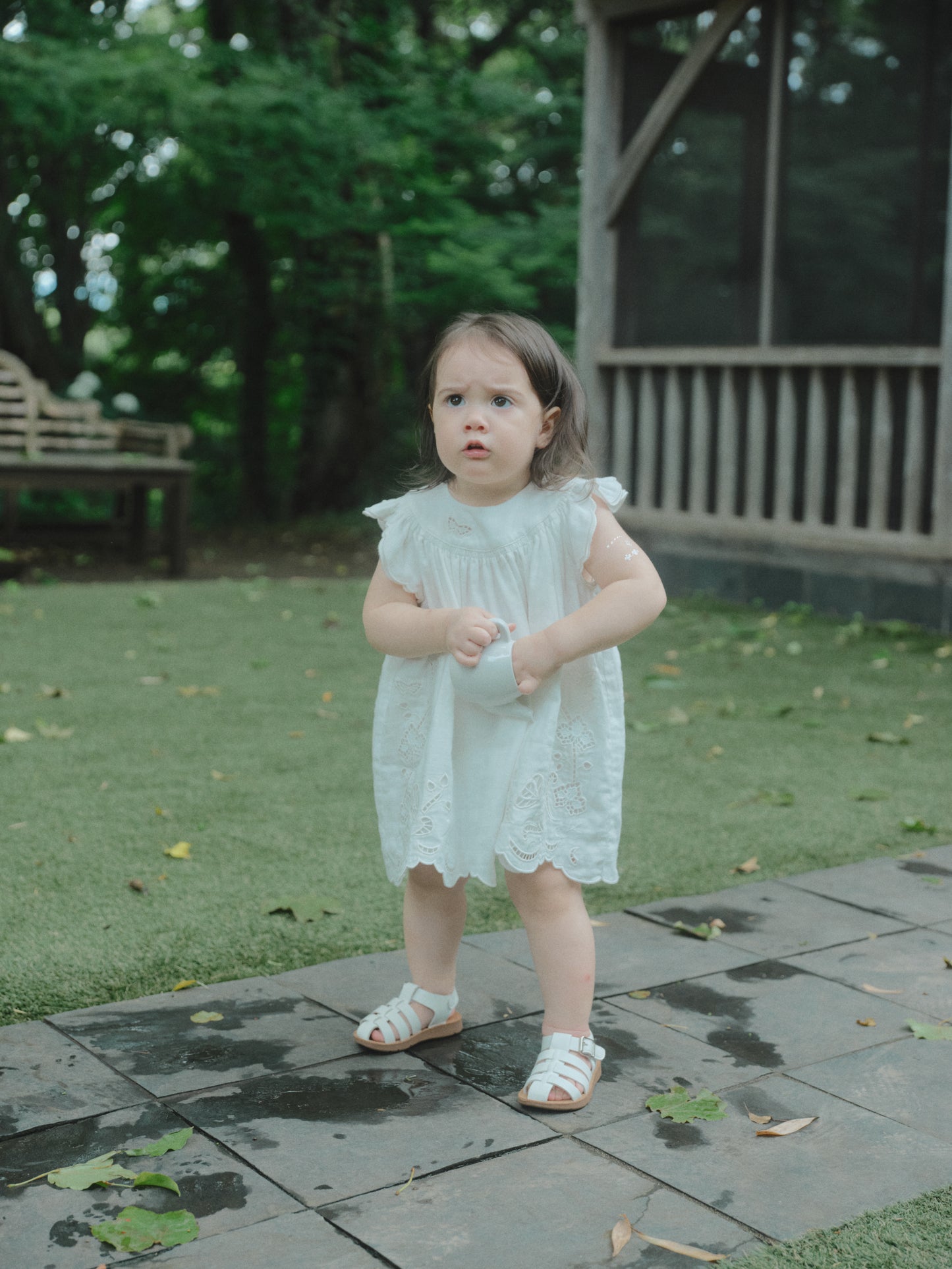 Butterfly Garden Dress