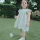 Butterfly Garden Dress