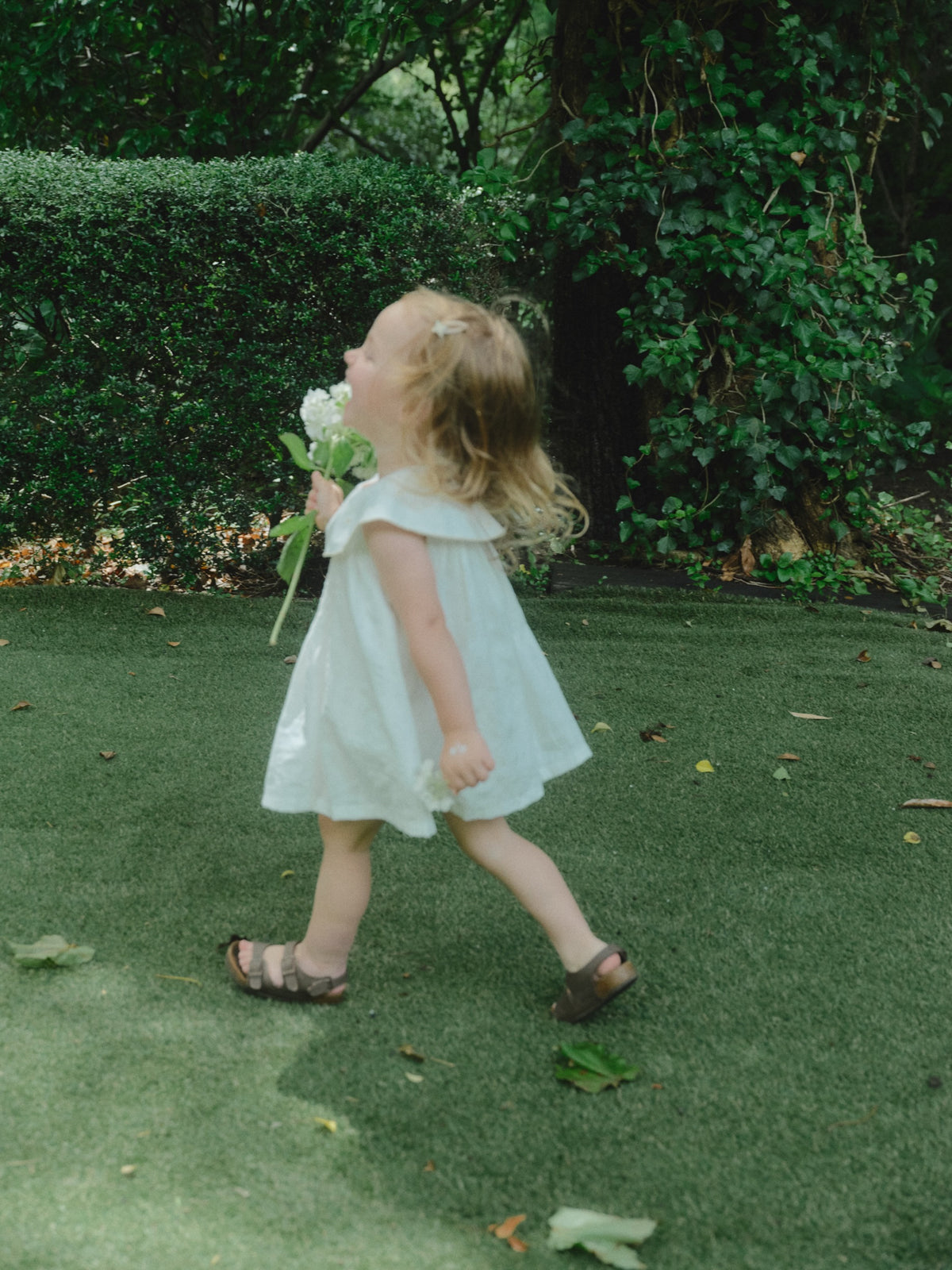 Daisy Garden Dress