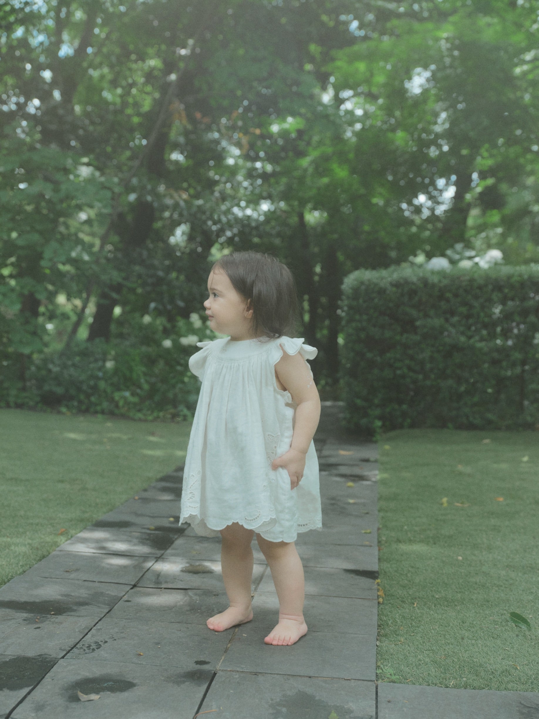 Butterfly Garden Dress