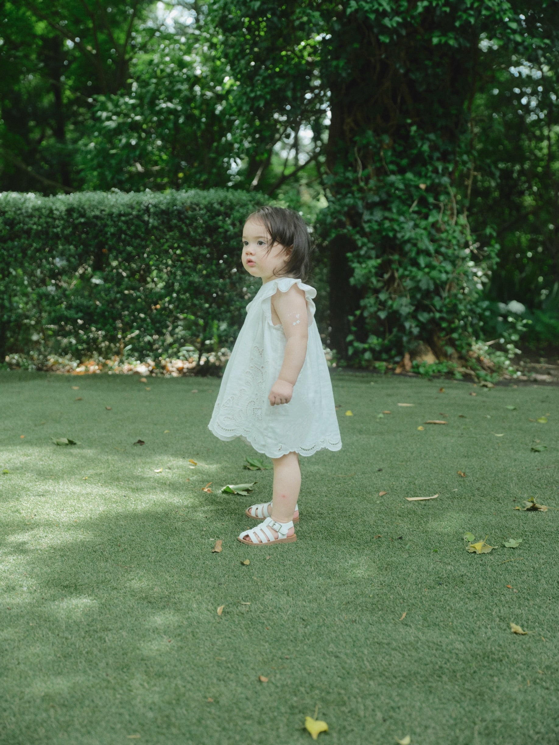 Butterfly Garden Dress