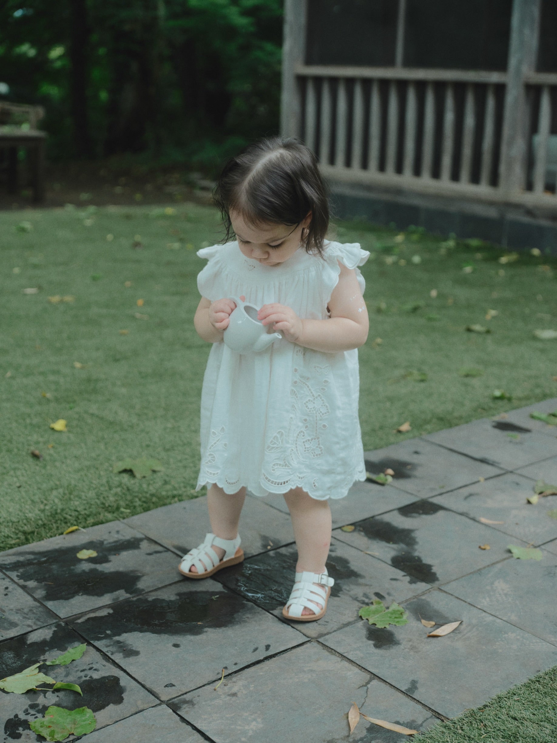 Butterfly Garden Dress
