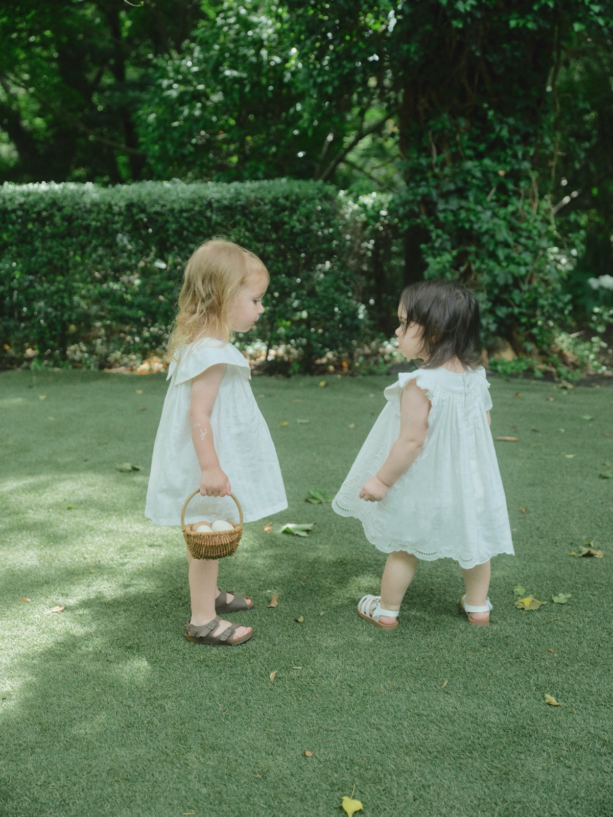 Butterfly Garden Dress