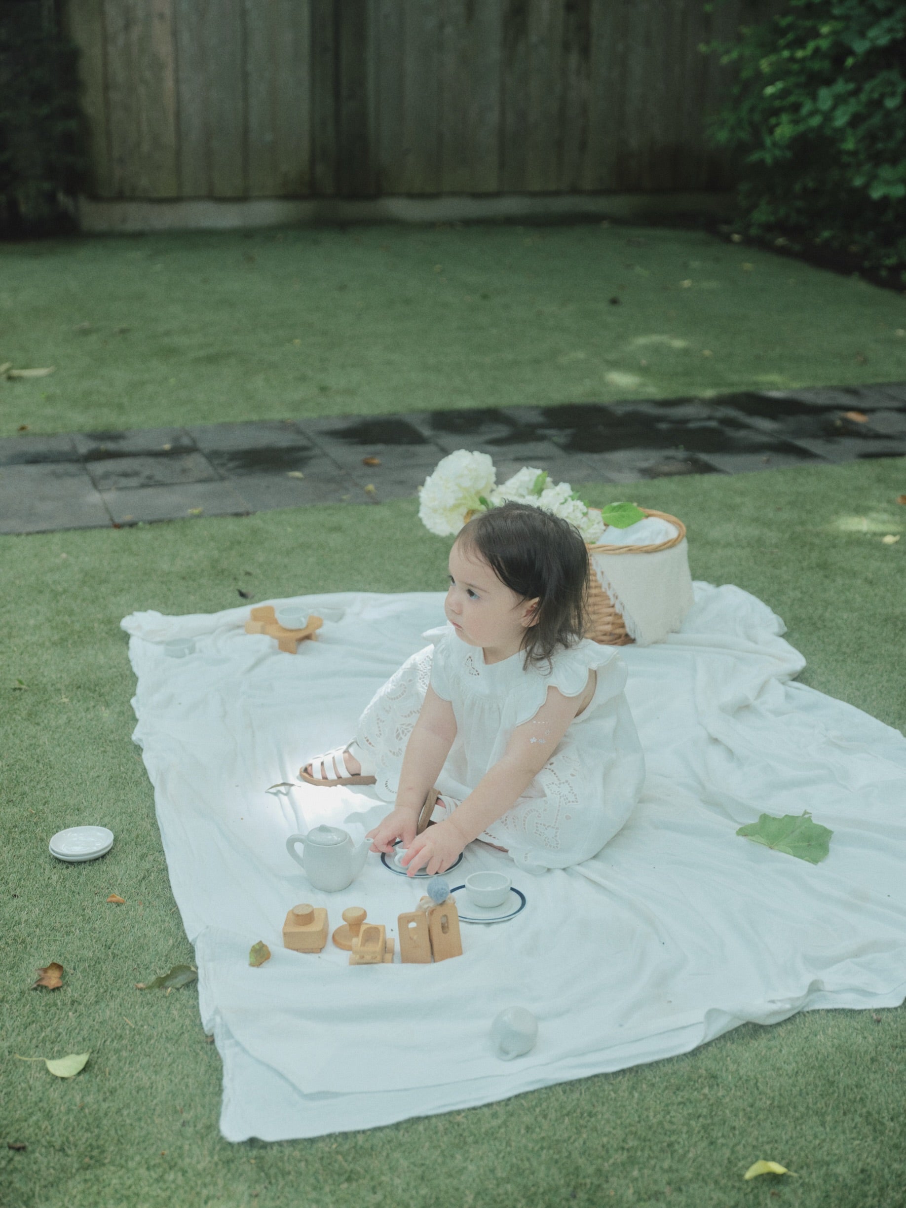 Butterfly Garden Dress