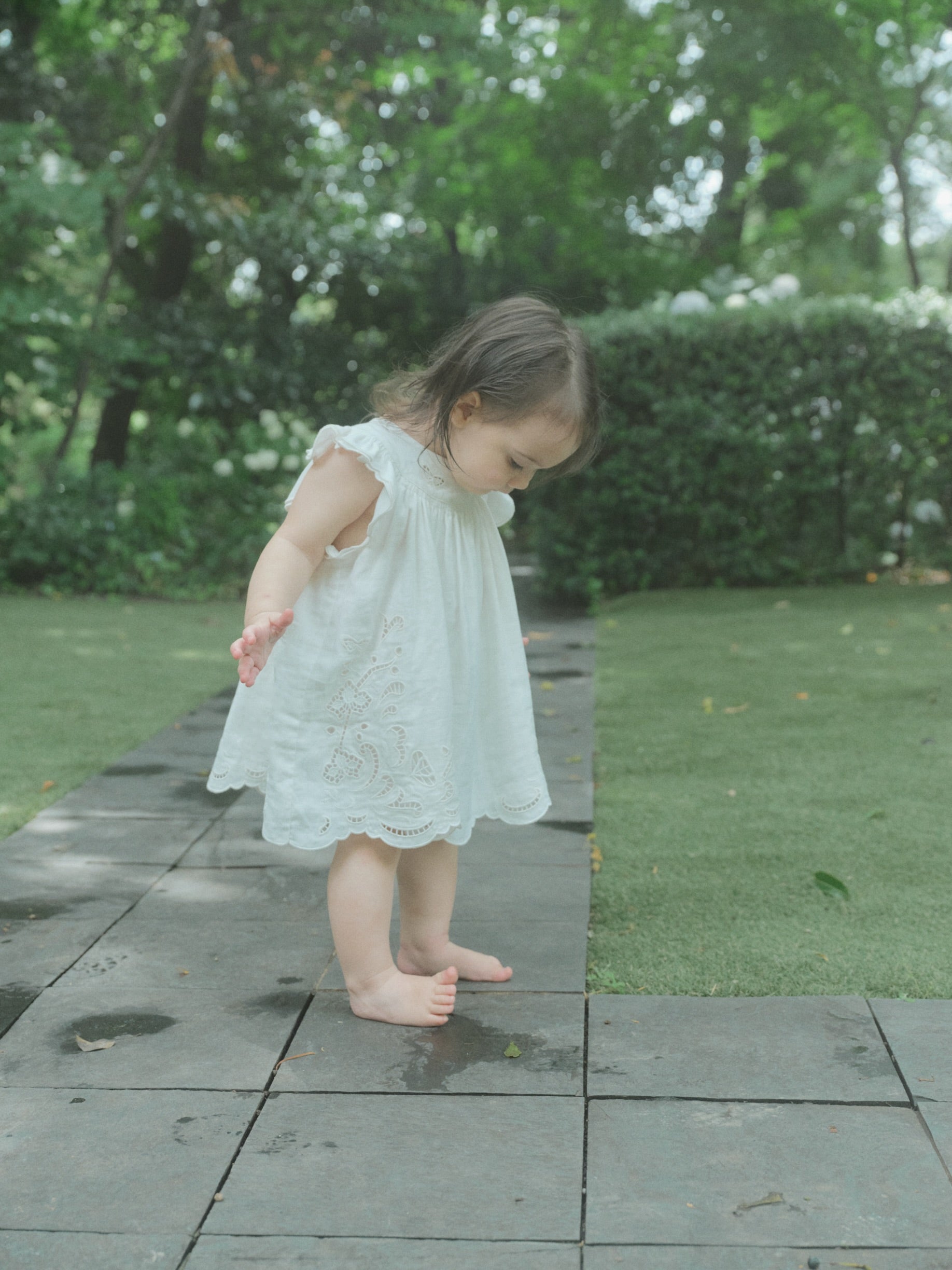 Butterfly Garden Dress